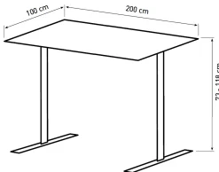 Hæve sænkebord PLUS natur 200x100cm