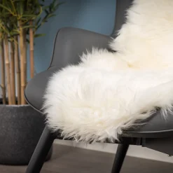 Lammeskind ivory