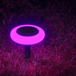 Solcellelampe Torch 10LED