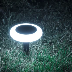 Solcellelampe Torch 10LED